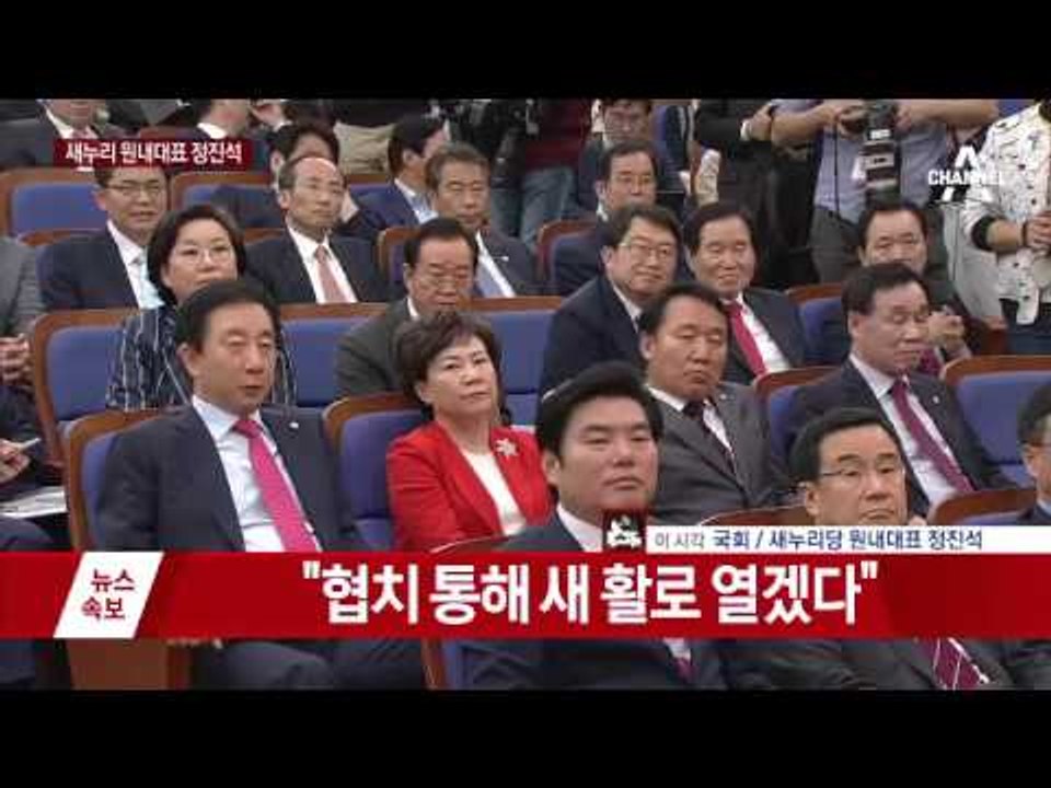 새누리 신임 원내대표에 정진석 선출