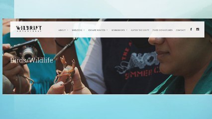 wildlife camps in india | wildrift