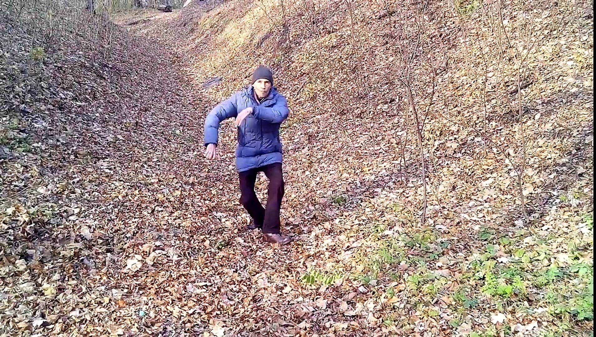Forest kungfu