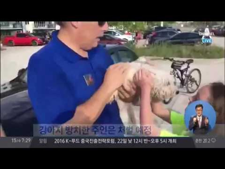 뜨거운 차에 갇힌 강아지 구조 위해…