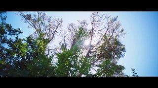DETOUR Trailer (Thriller - 2017)-ZNA7kDSclDE