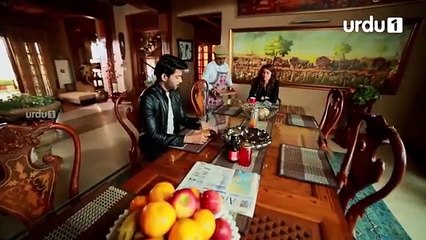 Ek Pal Ka Malal Episode 47