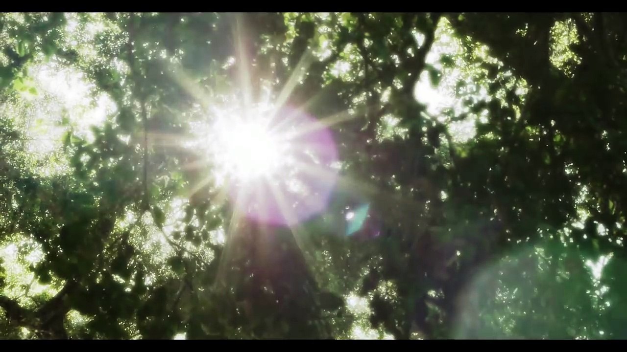 Winnie The Pooh Smackerel 04 -   Tiggers can do everything-N7va9rUDF0s