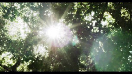 Winnie The Pooh Smackerel 06 -   We all have our little ways-RAOcVFRB7Lc