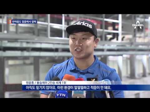 한여름도 얼음에서 썰매…‘썰매 훈련장’ 완공