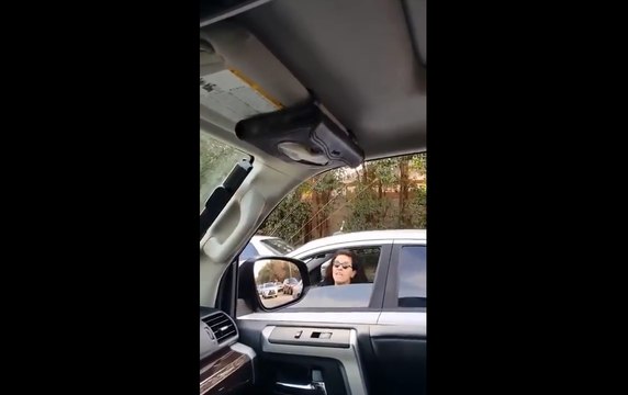 Une femme pète un plomb au volant de sa voiture.