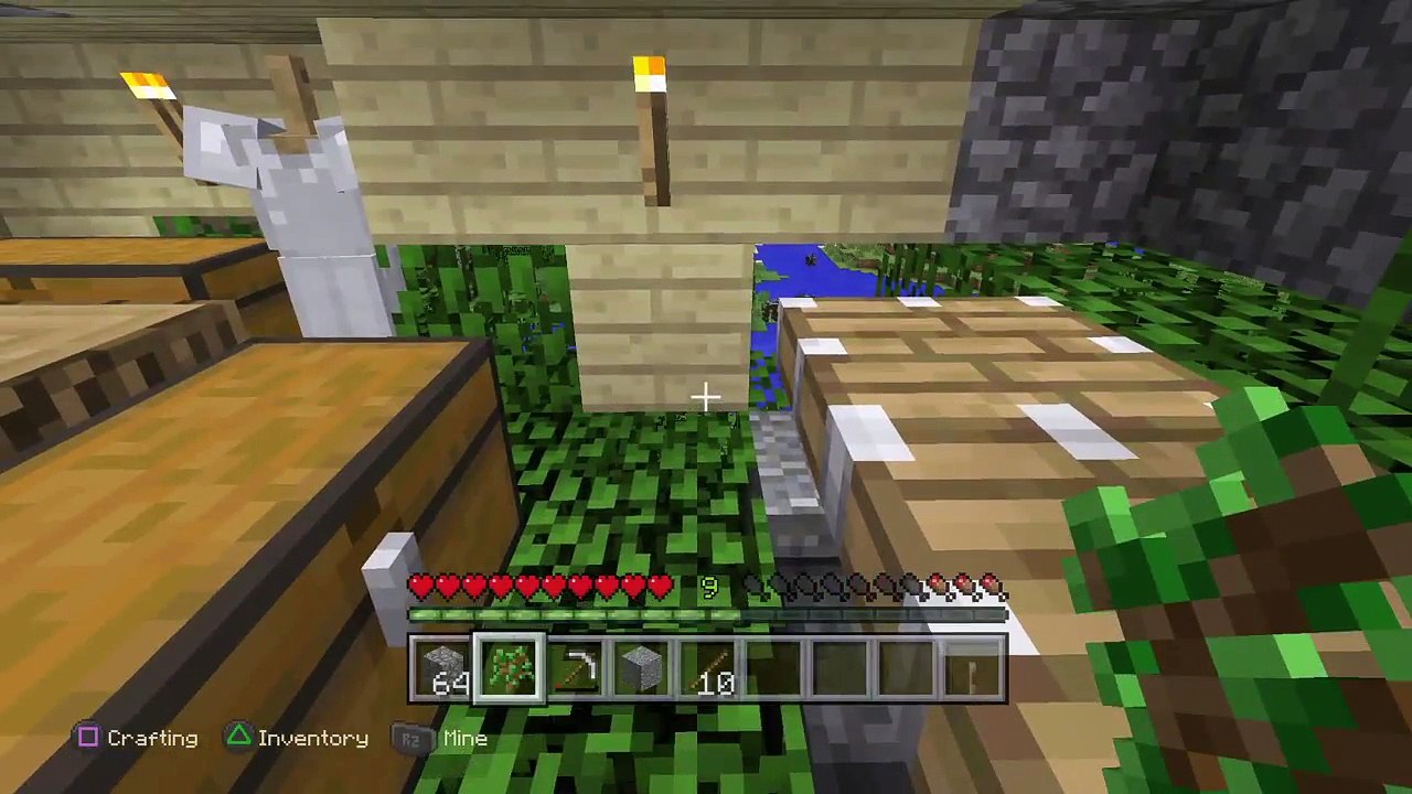 Minecraft| Survival (7)