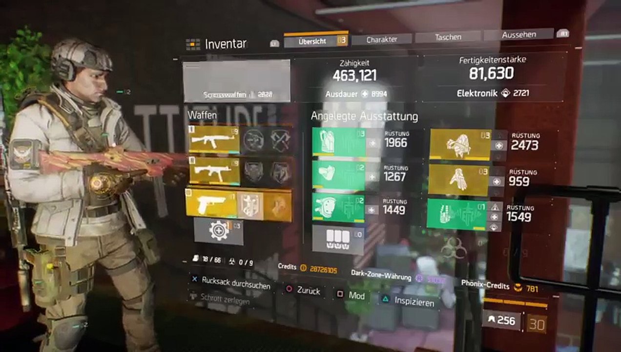 The Division nur so (40)