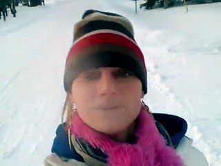 Husky dog and cat basket snow ride