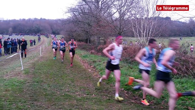 Quéven (56). Championnat du Morbihan de cross country