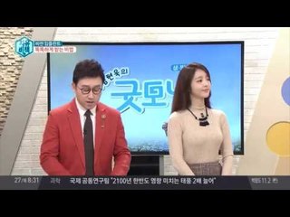 꼼꼼히 알아보자 임플란트 완벽 정리