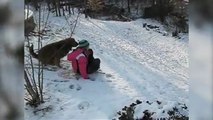 Cute and Funny Animal Discovering Snow