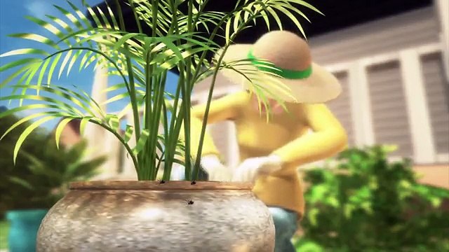 Spider videos scary spider in ear and exploding spiders - TomoNews spider compilation 2015