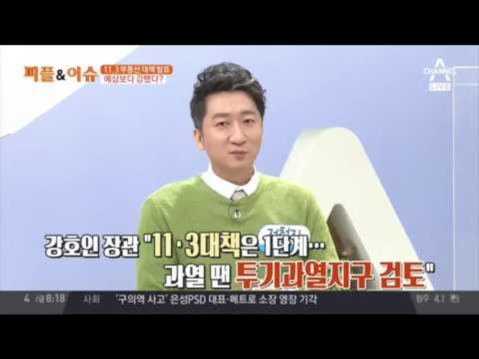 11.3 부동산 대책 발표 예상보다 강했다?