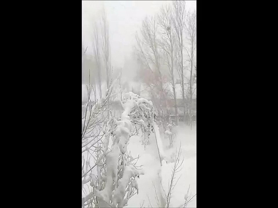 STORM