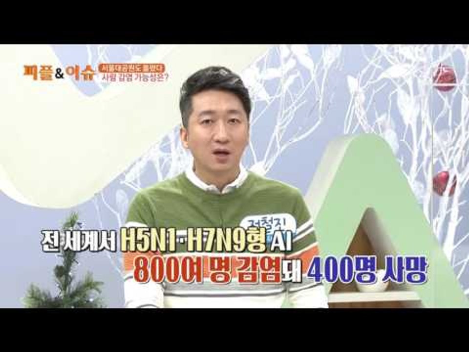 AI 서울대공원도 뚫렸다! 사람 감염 가능성은?