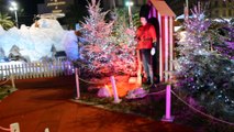 Marché de Noel Toulon 2016 - Video Travelling Décor Nuit - 1080p