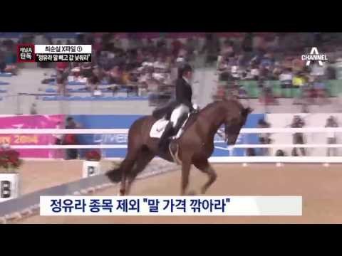 [채널A단독]“정유라 말 빼곤 ‘반값’ 말 사라”