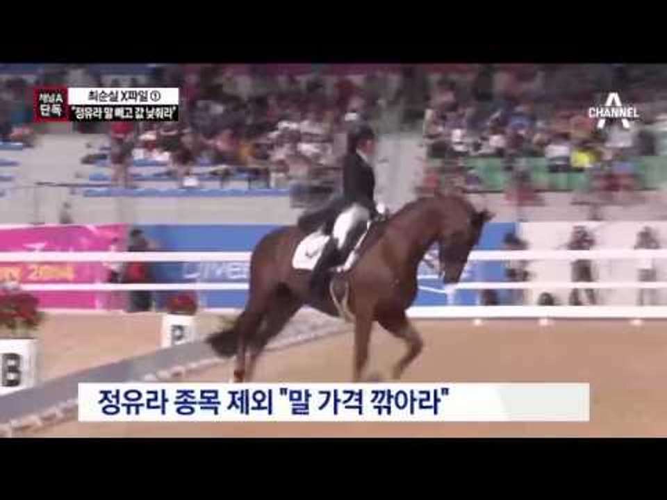 [채널A단독]“정유라 말 빼곤 ‘반값’ 말 사라”