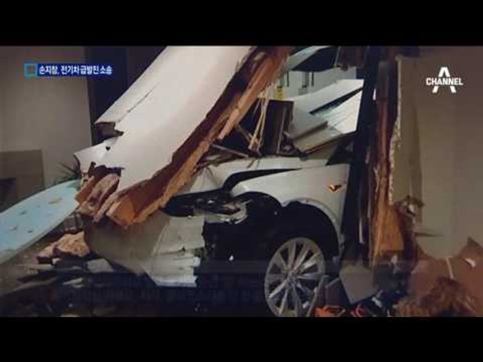 손지창, 美서 테슬라 전기차 급발진 소송