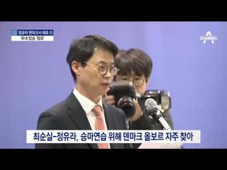 정유라 덴마크서 체포…압송은 ‘먼 길’
