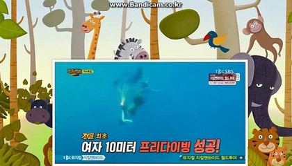 토토솔루션,토토제작,토토창업,자동마감토토솔루션,사설토토제작,토토프로그램 카톡: haricuty스카이프:cuty hary