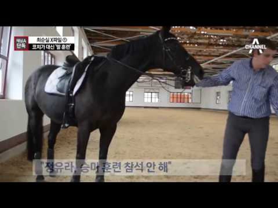 [채널A단독]정유라 대신 코치가 ‘말 훈련’