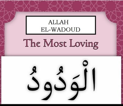 montage des preuves en vidéos - la femme n'est pas obligée de servir son mari en islam - selon la grande majorité des savants