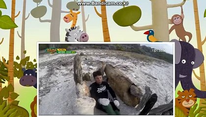 토토 솔루션 제작 전문업체 씨오디소프트