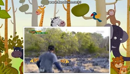 임대 및 분양합니다 최첨산시스템 토토솔루션 바카라,개경주,시카고,다리다리,가상축구 카톡haricuty스카이프cuty hary