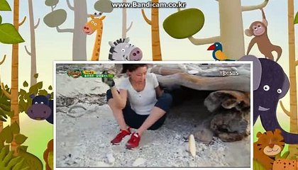 토토솔루션제작,판매합니다. 카톡haricuty스카이프cuty hary