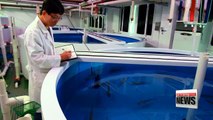 Korea taking applied mathematics into fisheries industry, medical diagnosis