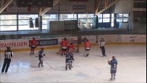 07.01.2017: MOSKITOS B: Les buts du match HC Vallée de Joux - Forward-Morges 7 - 3 (2-1,3-1,2-1)