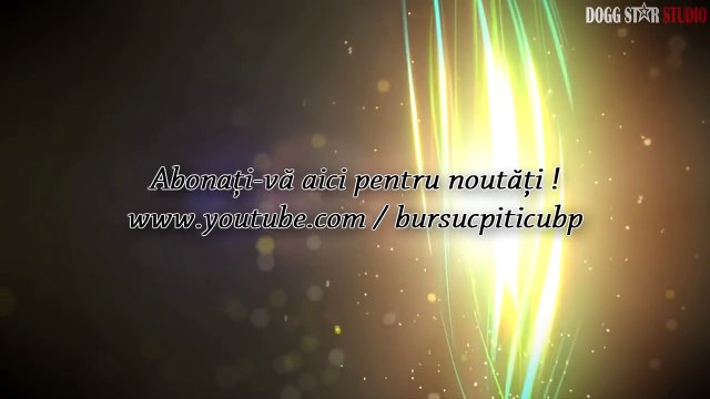 Florin Salam & B.Piticu - Ce ti-a dat el si eu nu ti am dat (Audio)