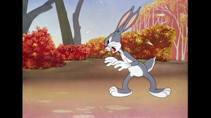 Looney Tunes _ Bugs Bunny Hunt _ Boomerang UK-XvvRYnphqG4
