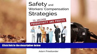 Read  Safety and Workers  Compensation Strategies: To Unleash Productivity and Profits  Ebook READ