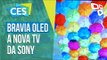 Bravia OLED: os novos televisores da Sony - CES 2017 - TecMundo