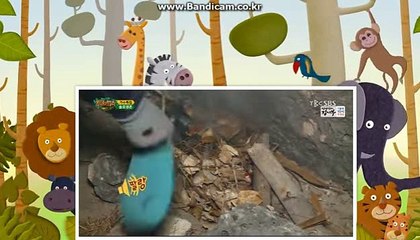 토토솔루션임대,토토솔루션창업,토토솔루션운영,토토솔루션컨설팅,바카라접목 카톡:haricuty스카이프:cuty hary