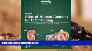 Read  Netter s Atlas of Human Anatomy for CPT Coding, Second Edition  Ebook READ Ebook