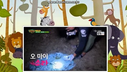 스포츠토토,바카라솔루션 제작 전문업체 올자동 씨오디소프트