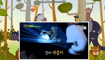 솔루션스포츠,바카라,토토솔루션판매 올자동 COD-SOFT #솔루션 (해외서버호스팅,D-Dos방어)