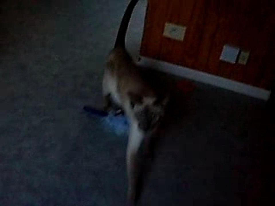 arthur et son swiffer  3