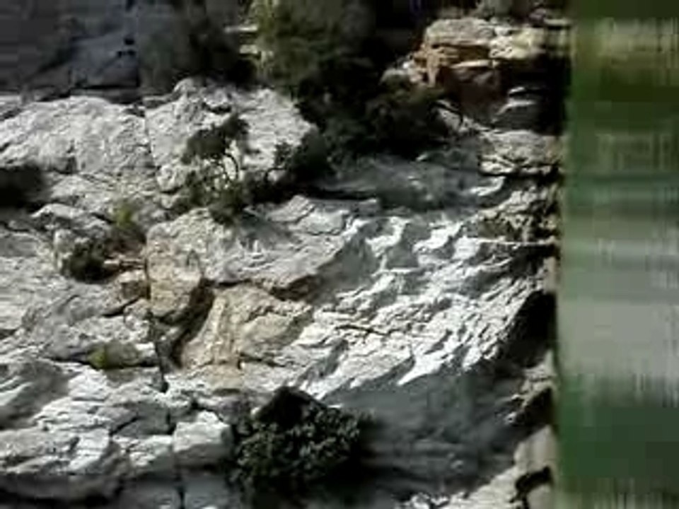 Saut de l'oeil doux