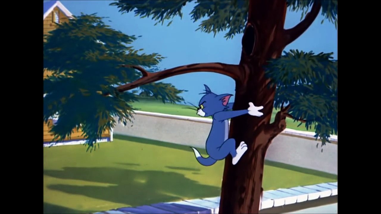 Tom and Jerry, 76 Episode - That's My Pup! (1953)-mw3NF1N1y8I