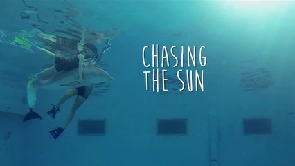 How Winter the Dolphin inspired the World