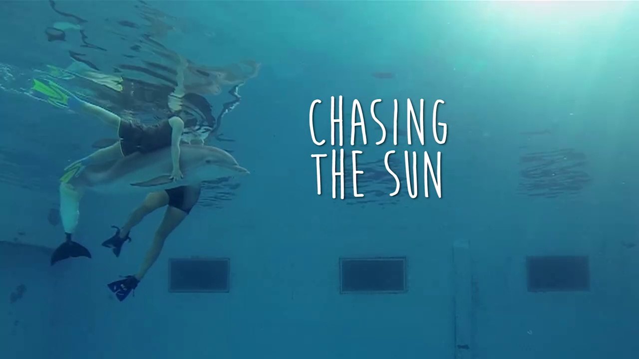How Winter the Dolphin inspired the World