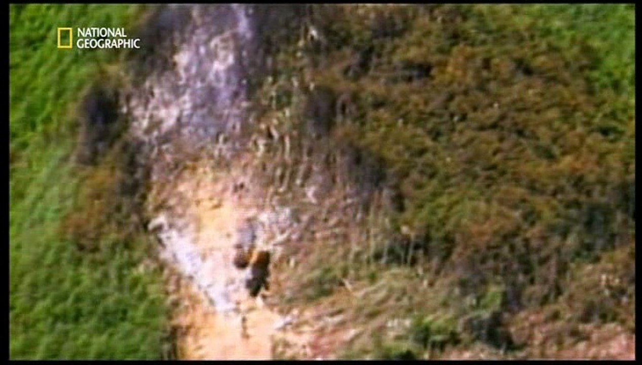 Alarm im Cockpit  S03E02 - DHL A 300 - Raketenangriff über Bagdad