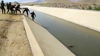 پیرو، آوارہ کتے کو پولیس نے نہر میں ڈوبنے سے بچالیا-xfTNlaNFHa8
