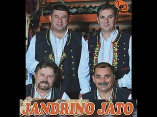 Jandrino Jato - Danijela, nema raja, slavonijo moja(uzivo Indjija)