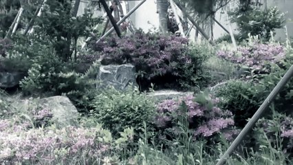 SuperGuitar (무적기타) - Call your name (불러) [Official MV]